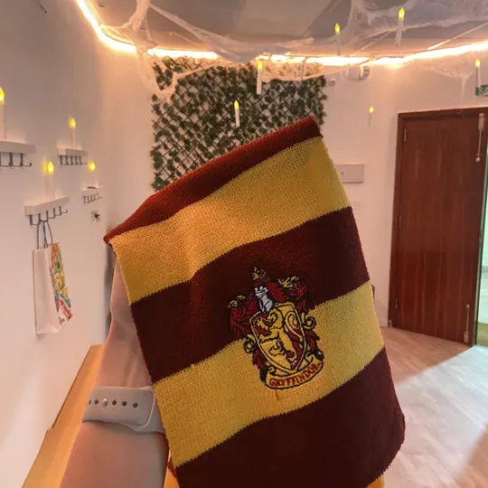 Bufanda de Gryffindor en la decoración del cumpleaños